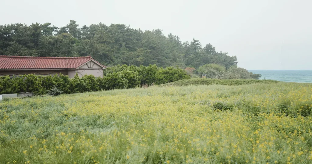 The Last Time I Saw My Grandfather’s Garden
