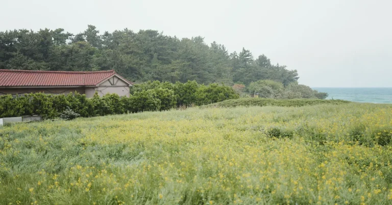 The Last Time I Saw My Grandfather’s Garden