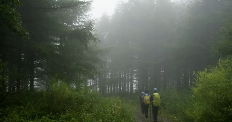 Does Your Neck Ache After a Walk? How to Fix Forward Head Posture Without Constant Effort